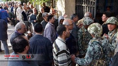 الإعلام الصيني: طوابير المصريين تحول الاستفتاء إلى 