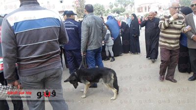 طائرات عسكرية وخبراء مفرقعات لتمشيط لجان الاستفتاء بالدقهلية