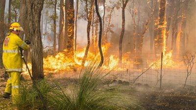 بالصور.. موجة حر تضرب أستراليا