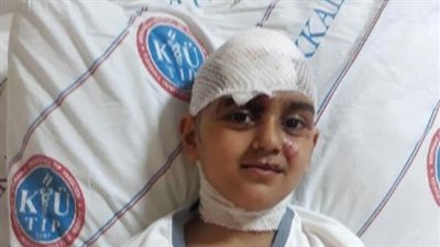 لقطات مرعبة لكلب يهاجم أما وطفلتها (فيديو وصور)