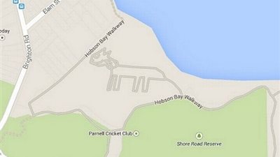 بالصورة.. هاكر مجهول يرسم قط على خريطة جوجل