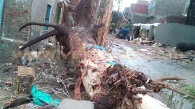 بالصور.. أهالي الجزيرة الخضراء بمطوبس يناشدون رجال الأعمال إنقاذ قريتهم