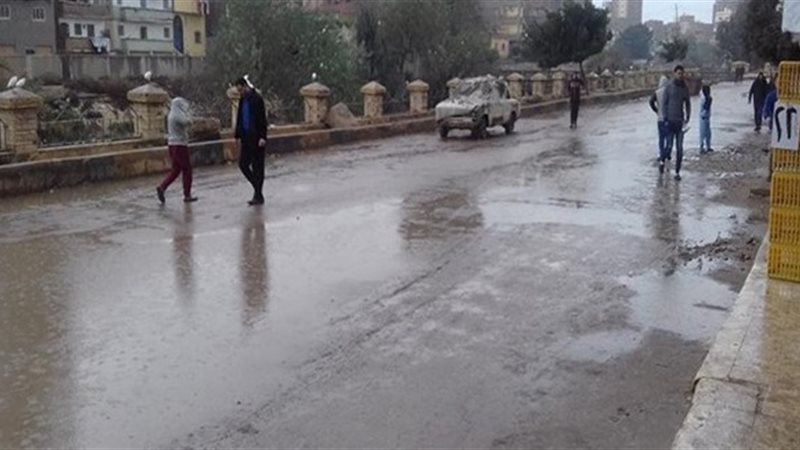 فيتو
