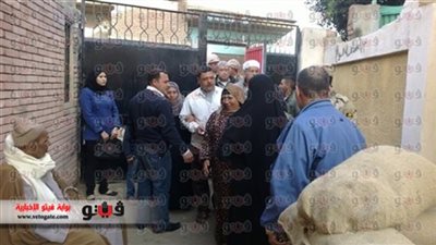 حملة لـ«الدستور» لحث الناخبين على المشاركة بالاستفتاء بمصر القديمة