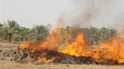 «البيئة» ترصد 5 آلاف حالة حريق للمخلفات الزراعية بـ3 محافظات