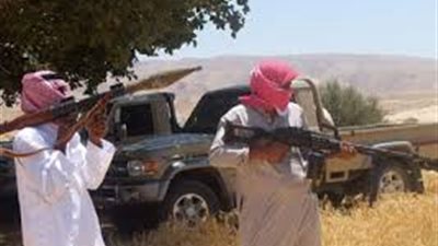 الجبهة الوسطية: توزيع 20 ألف كتاب في سيناء لتفنيد أفكار التطرف