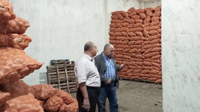 الرقابة الإدارية: ضبط 3820 طن من البطاطس المخزنة بالدلتا