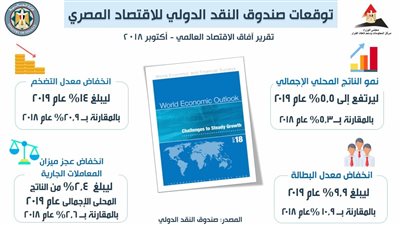 توقعات صندوق النقد الدولي للاقتصاد المصري (إنفوجراف)