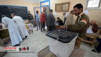 إبعاد قاض وجه الناخبين للتصويت بـ