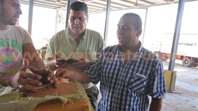 بالصور.. ضبط 82 طرد مخدرات ومنشطات جنسية بقرية البضائع بمطار النزهة