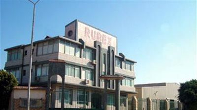 «الرقابة المالية » توافق مبدئيا على زيادة رأسمال «روبكس»