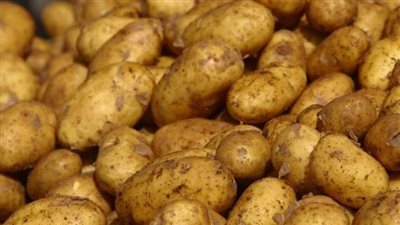 «ضد الغلاء»: جهود الرقابة الإدارية تهبط بأسعار البطاطس لـ6 جنيهات