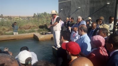 وزير الآثار: استغلال الآبار الكبريتية بالوادي الجديد (صور)