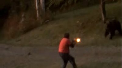 رجل يتصدى لأنثى دب وأشبالها بفناء منزله (فيديو وصور)