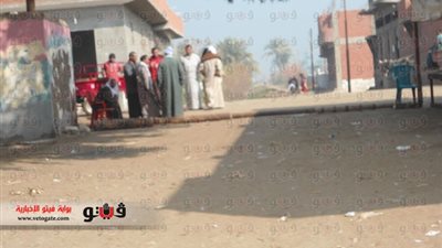 بالصور.. سيارات حزب النور تنقل الناخبين ببني سويف