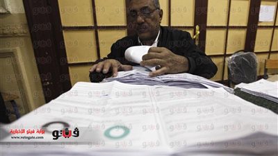 أكثر من 800 ألف ناخب إضافي يحق لهم التصويت على الدستور الجديد