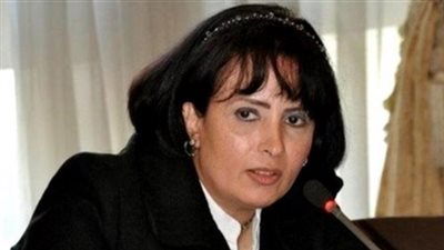 «العشماوي»: «الجيزة» خالية من استغلال الأطفال خلال الاستفتاء