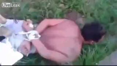 بالفيديو.. أشد عقاب لـ «حرامي» تقديمه وجبة للنمل السام