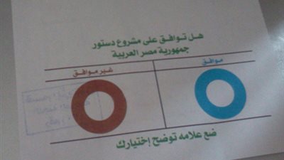 أهالي كرموز يطردون عضو مجلس شعب سابق من لجان الاستفتاء