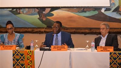 تفاصيل مشاركة عمرو موسى في اجتماعات لجنة حكماء أفريقيا (صور)