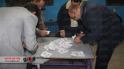 بالأرقام.. مؤشرات الاستفتاء بلجنة شريف باشا ببني سويف 1281 بـ