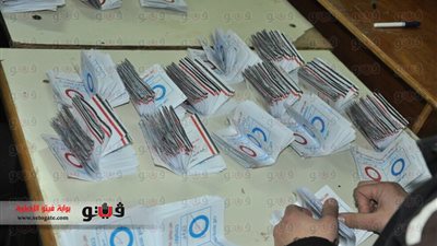 35375 وافدًا و27781 مقيدًا صوتوا على الاستفتاء بجنوب سيناء