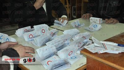 لجنة «الطيبة» في المنوفية: 99 % «نعم» و1 % «لا»