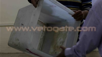 بالأرقام... النتائج النهائية بدائرة الهرم