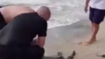 شرطيان ينقذان كنغر يصارع الأمواج (فيديو وصور)