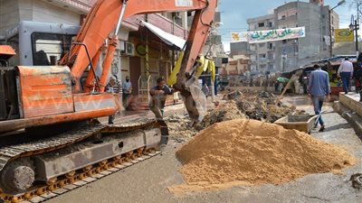 بالصور.. حملات نظافة بقرى «مطوبس» في كفر الشيخ