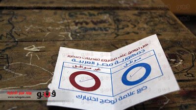 العليا للانتخابات: إعلان نتائج الفرز أمام الحاضرين باللجان الفرعية