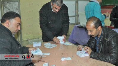 مركز «السادات» في المنوفية: 5972 يصوتون بـ«نعم» و111 «لا»