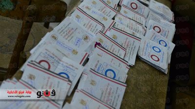 فرز 4 لجان بالأقصر: 4641 لـ«نعم» مقابل 96 لـ«لا»