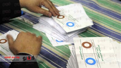 96.9 % لـ«نعم» مقابل 3.1% لـ«لا» في لجان «أبو قرقاص» بالمنيا