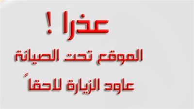 أحد ضحايا التسويق الإلكترونى: موقع الشركة مكتوب عليه 