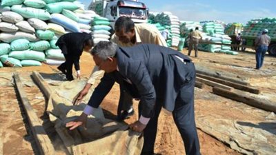 تسليم 104 آلاف طن قمح من محصول الموسم الجديد لشون الغربية