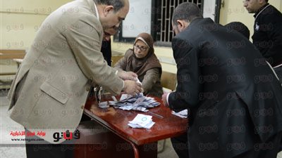 فرز لجان «القنطرة غرب» بالإسماعيلية: نعم 24985 ولا 549