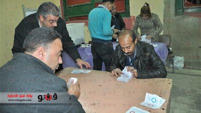 نتائج الفرز بمركز الإسماعيلية: 27618 «نعم»..618 «لا»