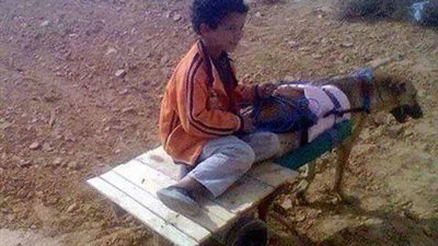 بالصورة.. طفل يقنع كلبا بأنه حمار