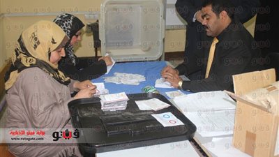 عبد الظاهر: «نعم» للدستور تعدت الـ90% بالقليوبية