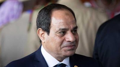 السيسي يلتقي رئيس ألمانيا ويزور البوندستاج.. غدا