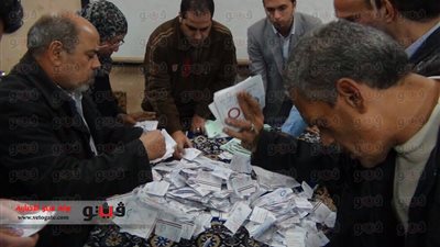 القليوبية: 95% يصوتون بـ«نعم»