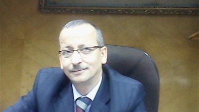 نتائج فرز مركزي الفيوم وأبشواي: 930000 «نعم» و3500 «لا»