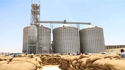 بعد إهدار 21 مليون جنيه.. معاقبة متهم في قضية صوامع القمح بـ«اللوم»