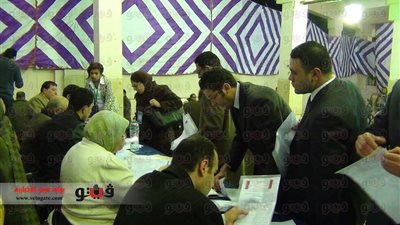 نتائج الفرز بالمحلة الكبرى: 98.9% صوتوا بـ«نعم»