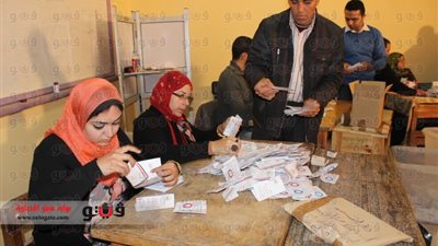 نهائي أسوان: 98 % يصوتون بـ«نعم للدستور»