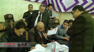 نهائي جنوب الجيزة: 97% يصوتون بـ«نعم للدستور»