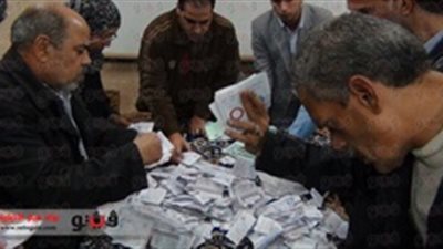 «الأناضول»: 98 % نسبة الموافقة على الدستور في مصر بعد فرز 70 % من اللجان
