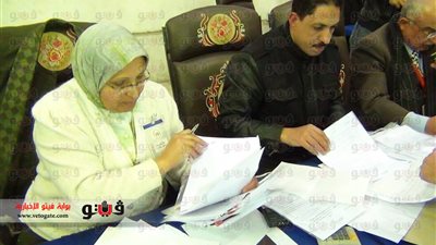 الوادي الجديد توافق على الدستور بنسبة 95%