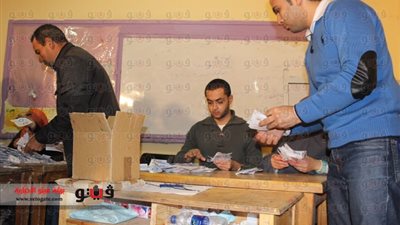 97.7 % نسبة التصويت بـ«نعم» على الدستور في كفر الشيخ